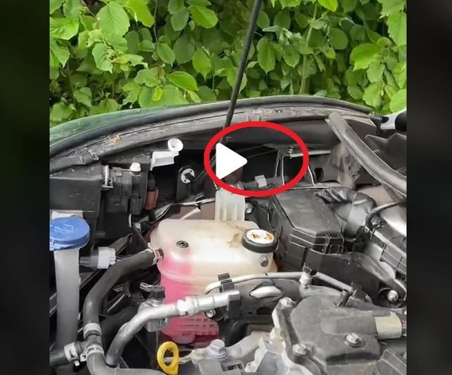VIDEO – Surpriză mare sub capota mașinii – Motivul pentru care nu mai mergea motorul