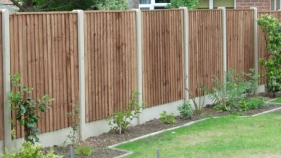 "Bomba cu ceas" de lângă casele românilor. Avertismentul medicilor: planta cu efect nemilos