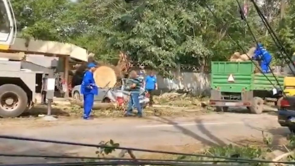 Mașină distrusă de un copac de 20 m, în timpul unei furtuni 