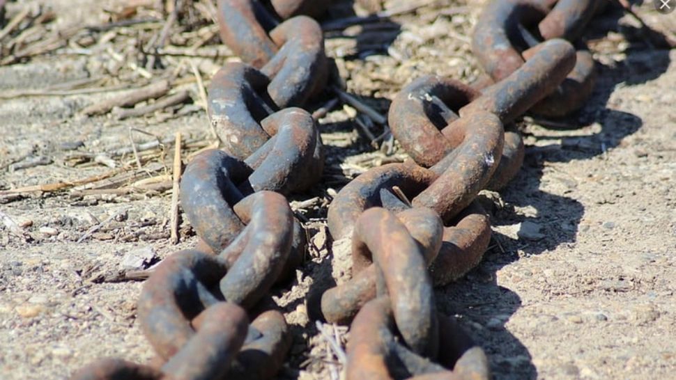 Protest extrem, în Târgu Mureș: sute de oameni, ÎN LANȚURI