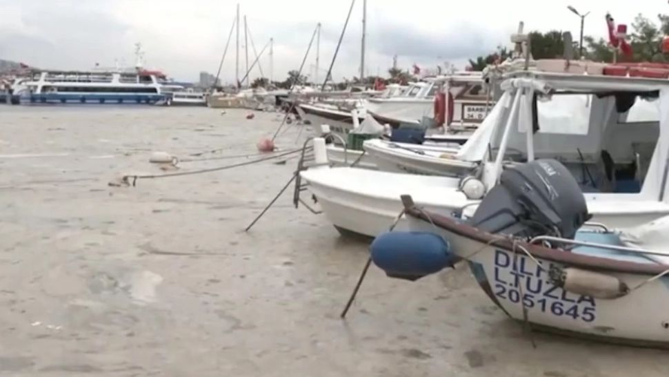 Catastrofă ecologică: Marea Marmara, sufocată din cauza poluării. Mucilagiul marin, fenomen extrem de periculos
