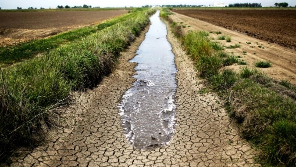 Prognoză sumbră pentru vară: urmează SECETA. Avertisment teribil de la ANM