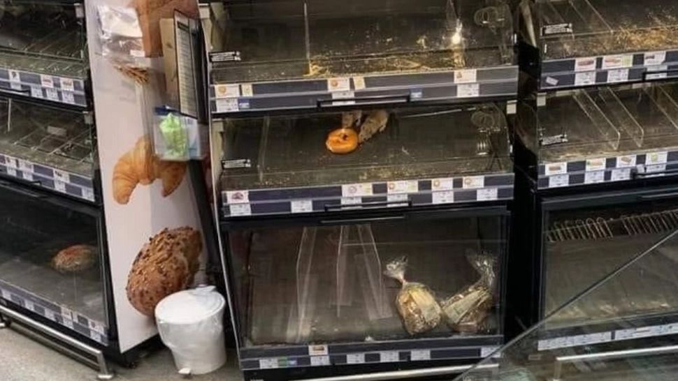 ȘOBOLANI surprinși în raftul cu produse de patiserie, într-un supermarket din Sectorul 1 