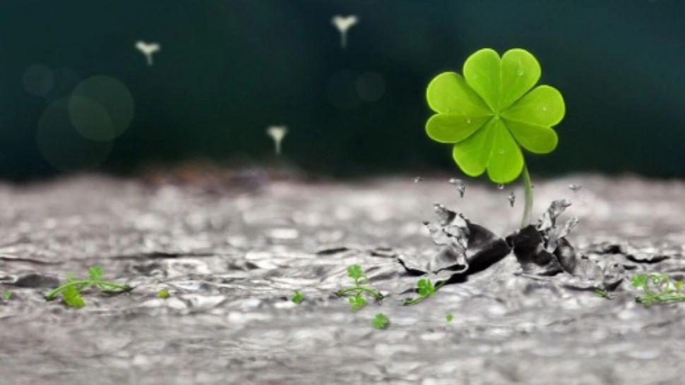 Horoscop 26 iunie. Mare noroc la BANI. Se întrevăz câștiguri neașteptate