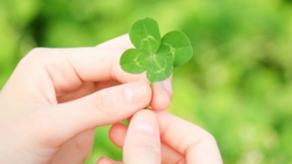 Horoscop 4 iunie. O zi bună pentru întâlniri cu persoane influente. E rost de bani