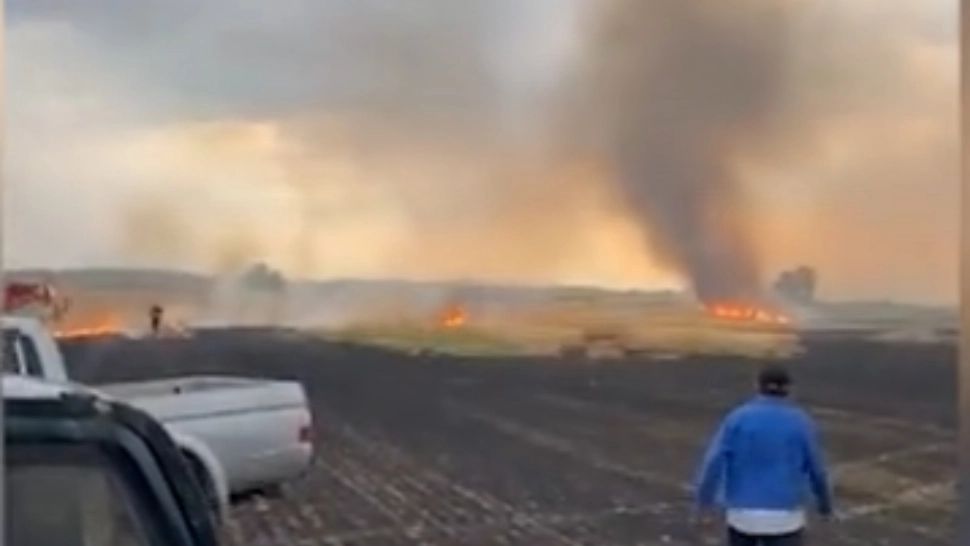  Cultura de grâu distrusa de o rachetă antigrindină. Imaginile DEZASTRULUI