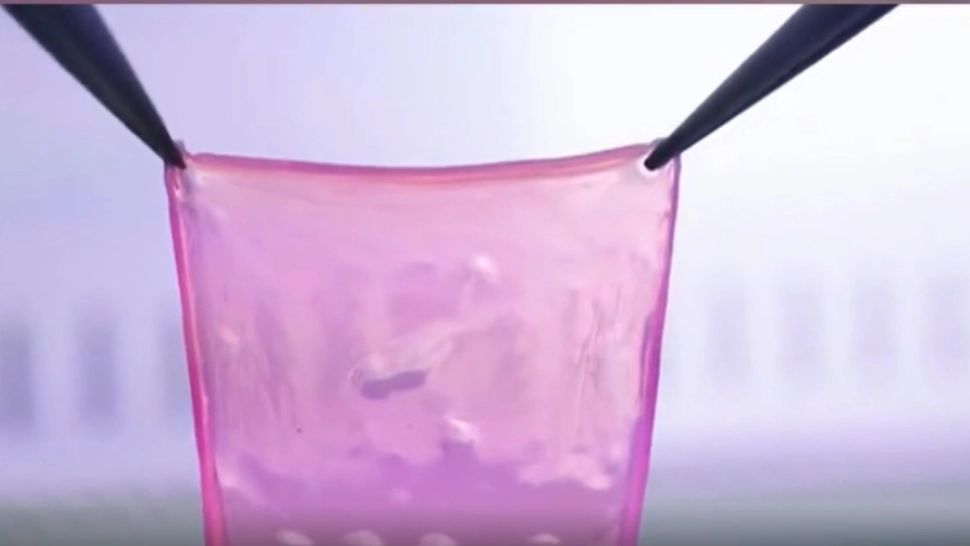 O brumă de speranță pentru marii arși: A fost inventat aparatul care produce piele umană