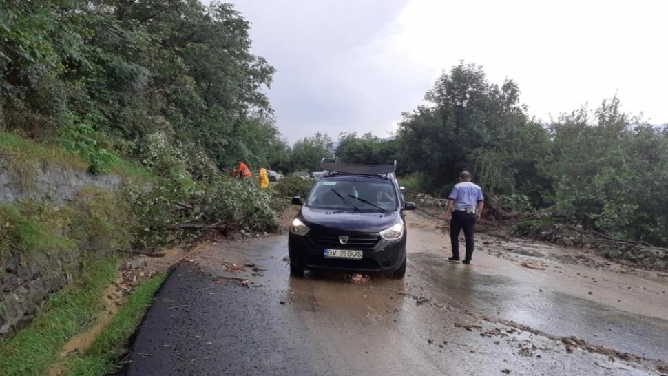  Trafic blocat în Moieciu de Sus din cauza vremii nefavorabile - Copaci căzuți pe partea carosabilă