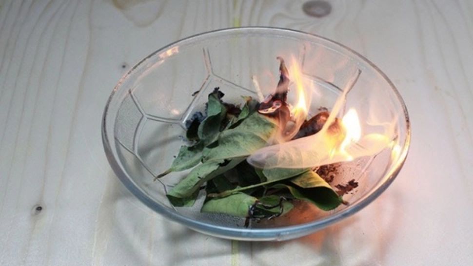 Aprinde câteva frunze de DAFIN într-o scrumieră și vei vedea ce se întâmplă după câteva minute! Vei rămâne uimit