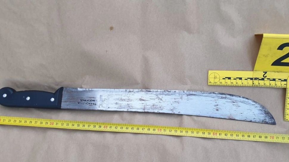 Criminalul de la Corbu, arest pentru 30 de zile. Și-a recunoscut faptele și a spus că era drogat