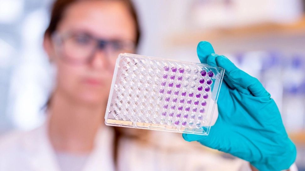 Valul 4 al pandemiei Covid va ataca în forţă România. Câţi oameni ar putea fi răpuşi - Valeriu Gheorghiță, ANUNȚ fără precedent!