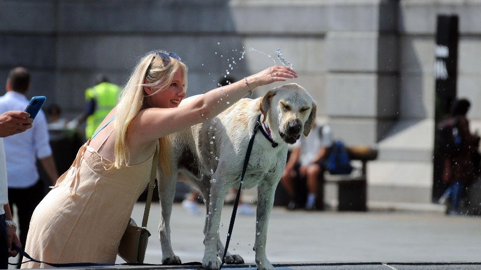 România fierbe. Nu scăpăm de CUPOLA DE FOC! Noi avertisemente de caniculă - HARTA ZONELOR 