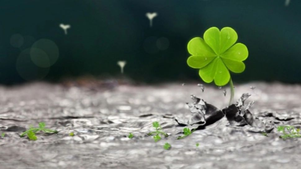 Horoscop 1 august. Cea mai reușită zi din an. Zodia care trage lozul câștigător