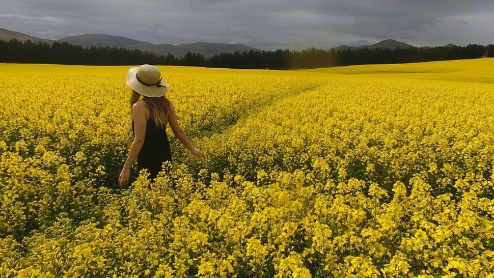 Prognoza meteo pe o lună, actualizată. Schimbări dramatice - cum va fi vremea până pe 9 AUGUST