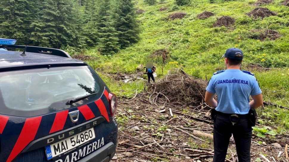  Urșii continuă să își facă simțită prezența în județul Harghita: 8 apeluri la 112, în weekend, oamenii PANICAȚI