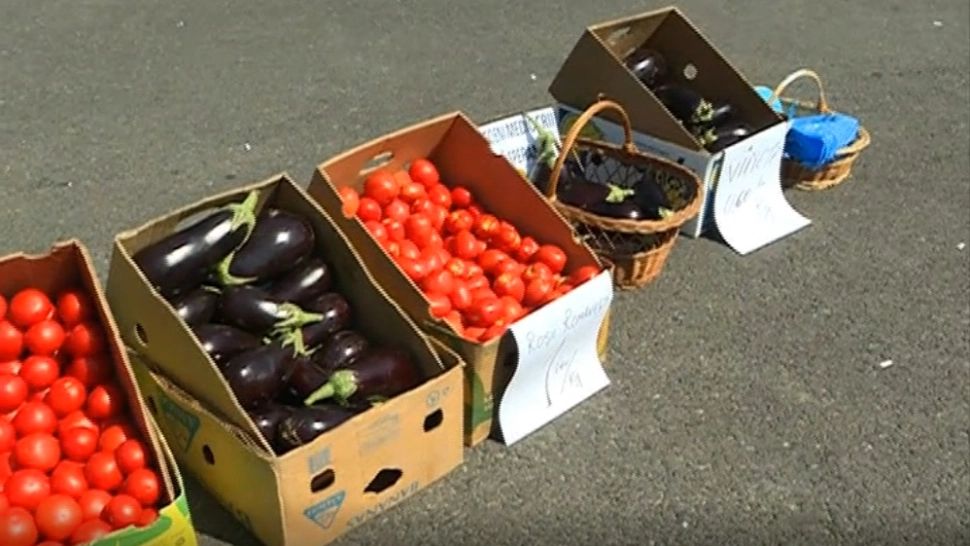 Revoltă a fermierilor la ușa premierului. Ajunși la capătul puterilor, agricultorii cer ajutorul statului