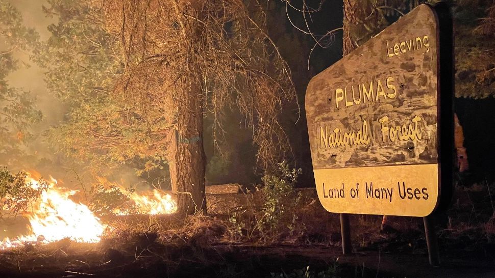 VIDEO Incendiul de vegetație Dixie Fire face RAVAGII în California! S-au emis noi ordine de EVACUARE  - Imaginile DEZASTRULUI 