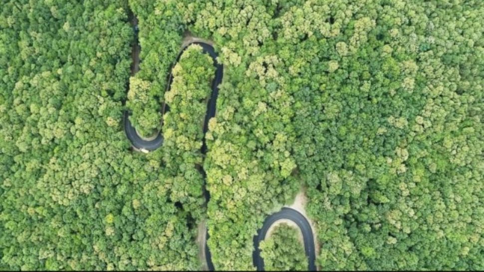 Un nou drum SPECTACULOS prin pădurile din munții României. Când va intra în circulație