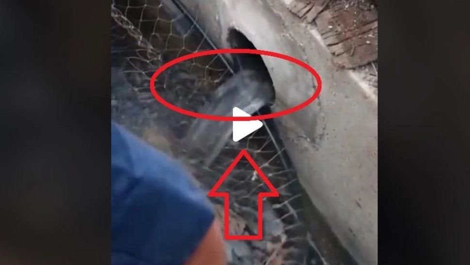 VIDEO – Au auzit zgomote ciudate din canalizare – E incredibil ce au putut scoate de acolo