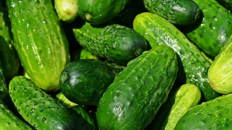 EVITĂ consumul de castraveți dacă suferi de această BOALĂ. Ce contraindicații are, de fapt, leguma care "spală toxinele"