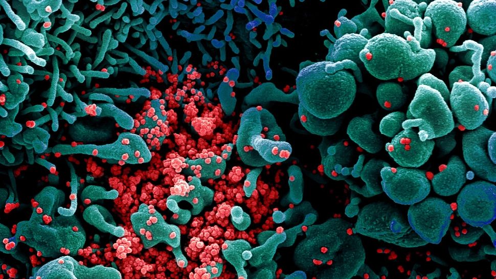 Primele noi focare de Covid-19 din Galați sunt la două familii. 10 persoane sunt infectate, doar una este vaccinată