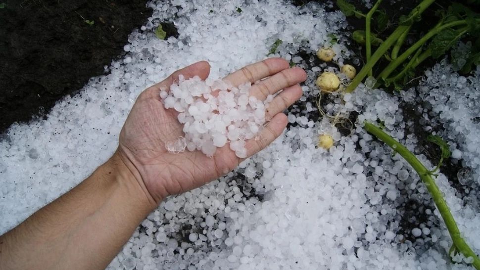 O furtună cu gheaţă loveşte România. Avertisment teribil de la meteo