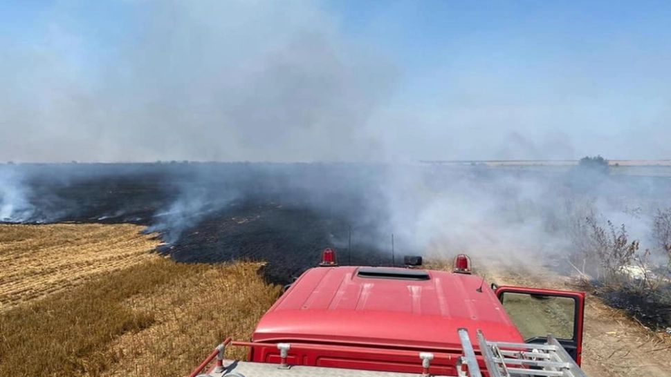 Pompierii militari, în ALERTĂ. Incendiu de vegetație uscată, în Bistrița-Năsăud
