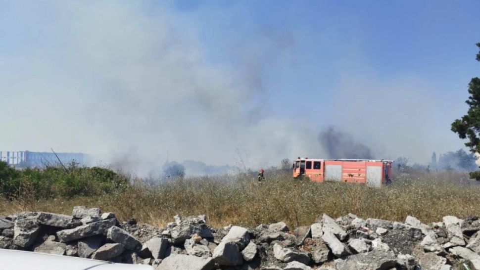 Incendiu de amploare în Popeşti-Leordeni, aproape de Centura Capitalei. Vegetația uscată, mistuită de flăcări