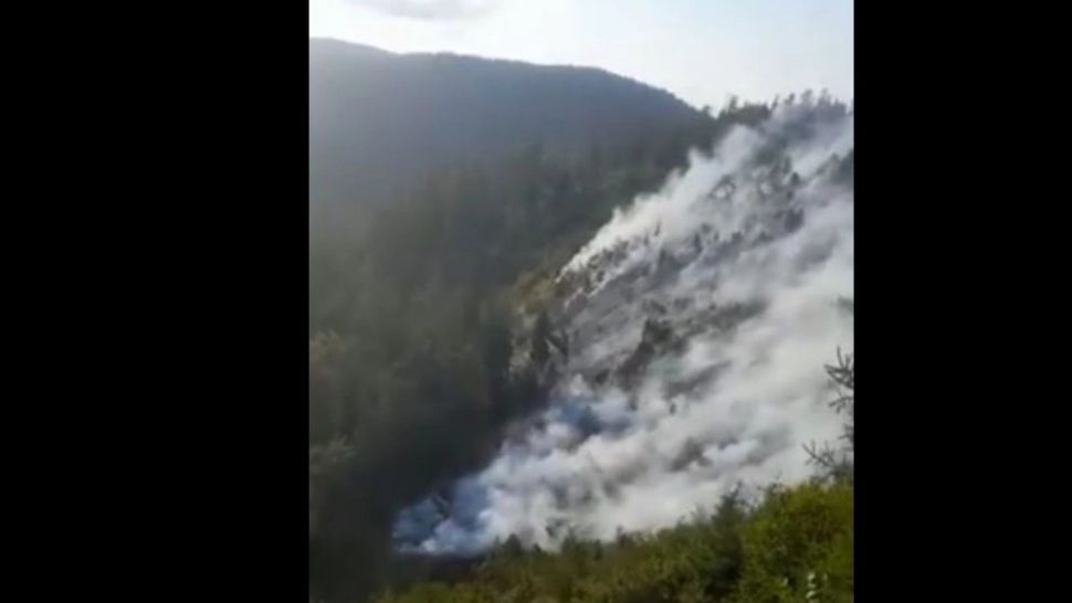 VIDEO | Incendiu devastator într-o pădure din Vâlcea. Au ars 4 hectare cu puieți de brad și copaci tineri 