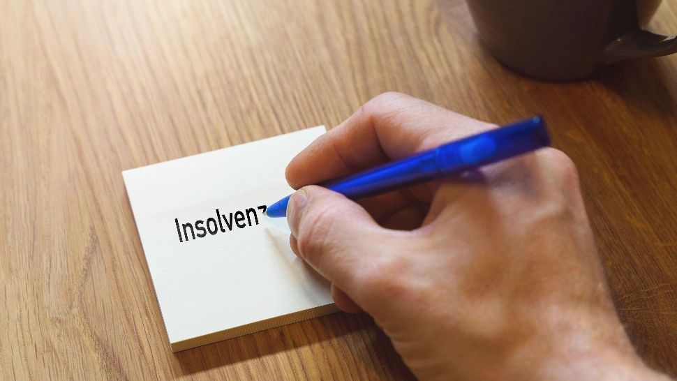 Numărul firmelor intrate în insolvență a explodat în 2024. Care a fost cel mai afectat domeniu