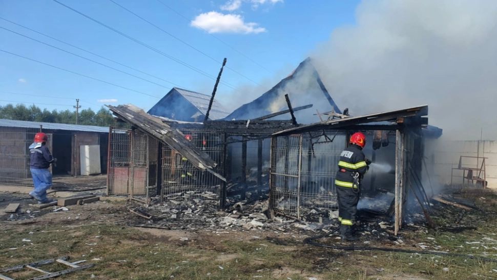 Incendiu PUTERNIC, în apropiere de Sibiu. Două anexe gospodărești, DISTRUSE de flăcări
