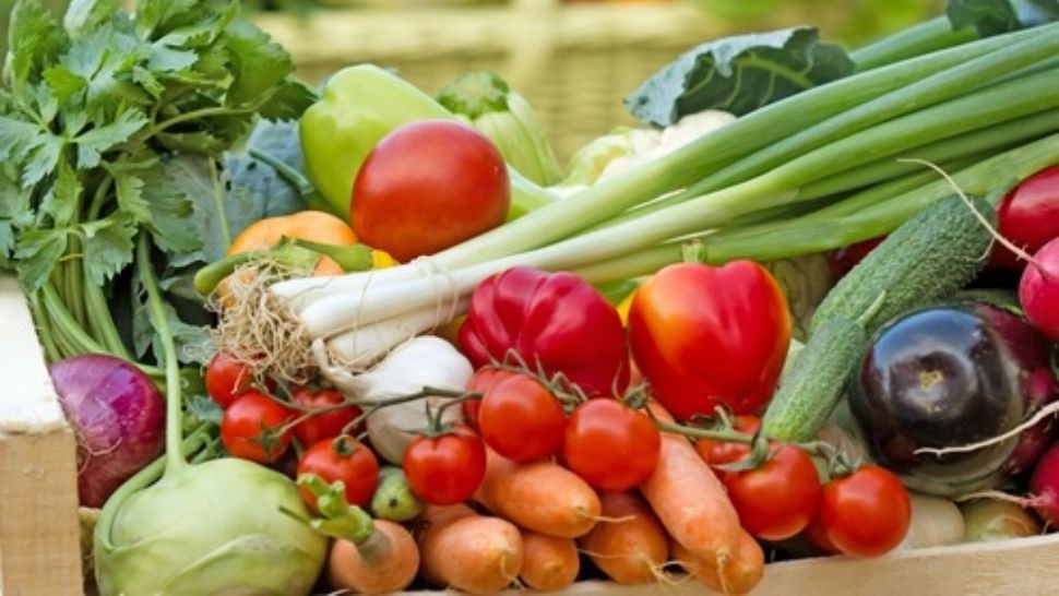 Micii agricultori sunt disperați, prețurile s-au prăbușit din cauza supraproducției de legume 