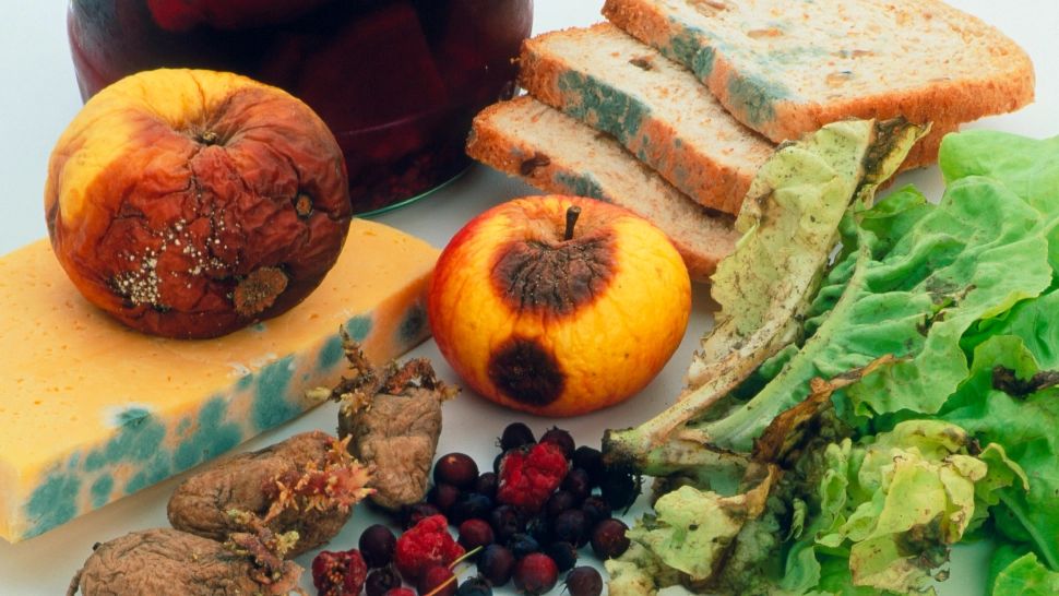 Amenzi de aproape 2 milioane de lei, în doar 6 săptămâni, pentru comercianții de alimente de pe litoral