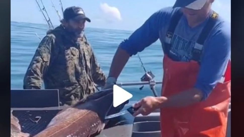 VIDEO – A despicat peștele și a găsit ceva incredibil în burta sa. Se afla acolo de ani de zile