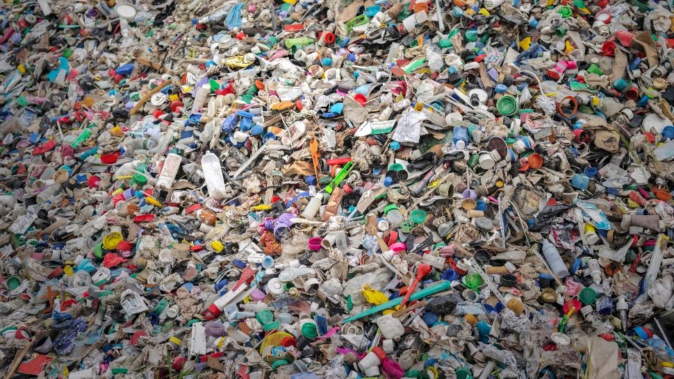 PET-ul, „prieten” cu românul. Aproape jumătate din populație preferă recipientele din plastic
