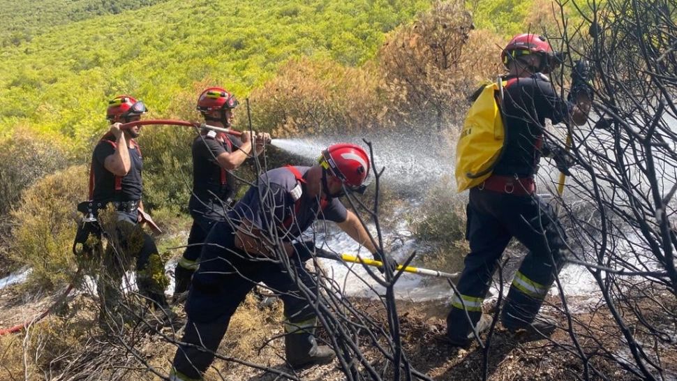 FOTO | Pompierii români disponibili din Grecia, direcţionaţi în zona localităţii Megara 