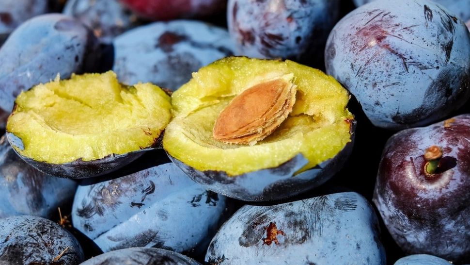PRUNELE combat o BOALĂ care ucide milioane de oameni. Cum să le consumi corect