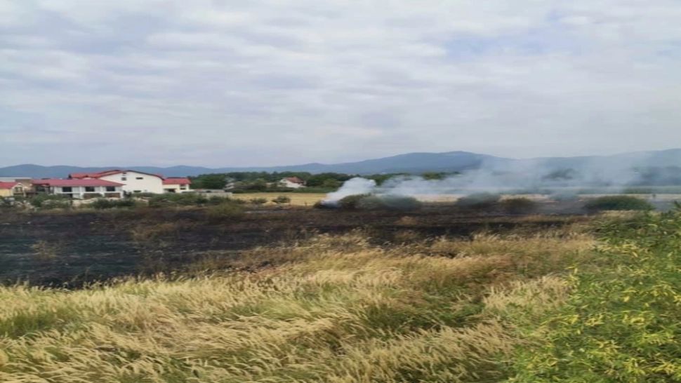 Incendiu de proporții, în Satu Mare. Au ars 8.000 mp de vegetație uscată - FOTO