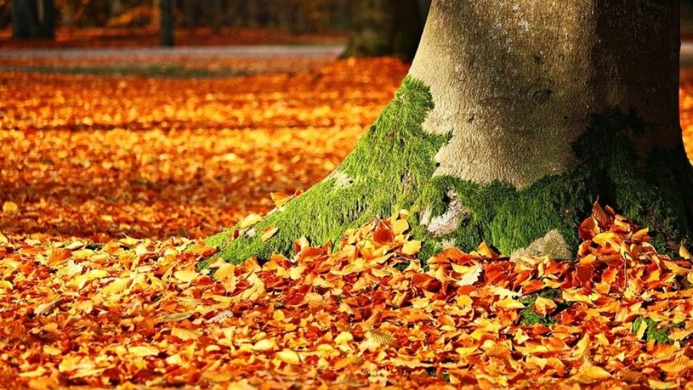 Prognoza meteo pe o lună - schimbări radicale. Când se întorc VIJELIILE? Cum va fi vremea până pe 27 septembrie