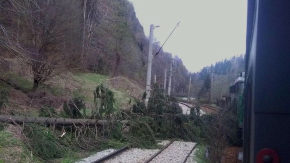 Trenuri de călători BLOCATE în Cluj, Iași și Brașov din cauza COPACILOR prăbușiți pe calea ferată