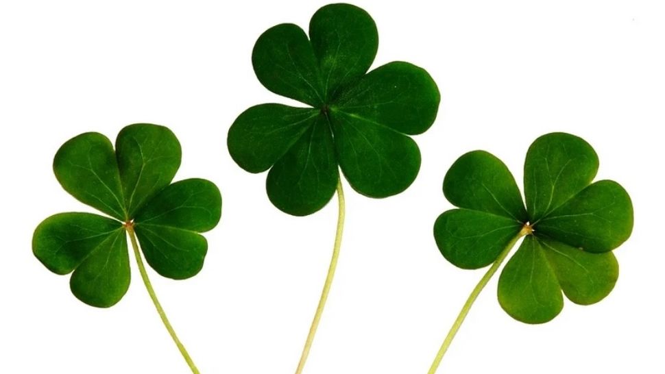 3 zodii pentru care luna august va fi cu totul și cu totul DE AUR