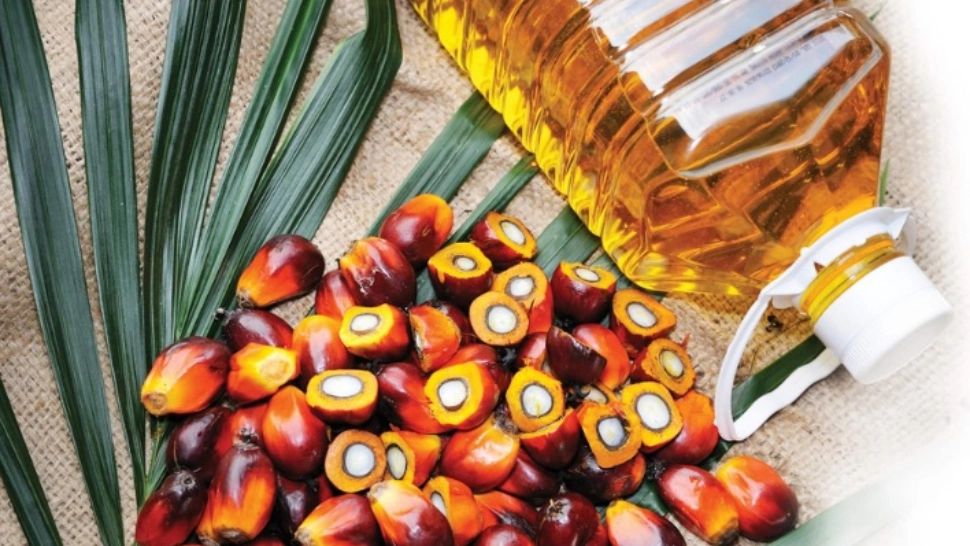 Ce efect are alimentului considerat ”prima sursă de cancer”?