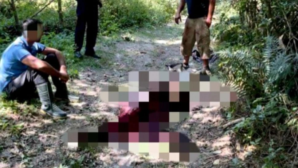 Urs ucis și tranșat de doi braconieri în Dâmbovița. Când au fost prinși, i-au amenințat pe paznici cu un cuțit