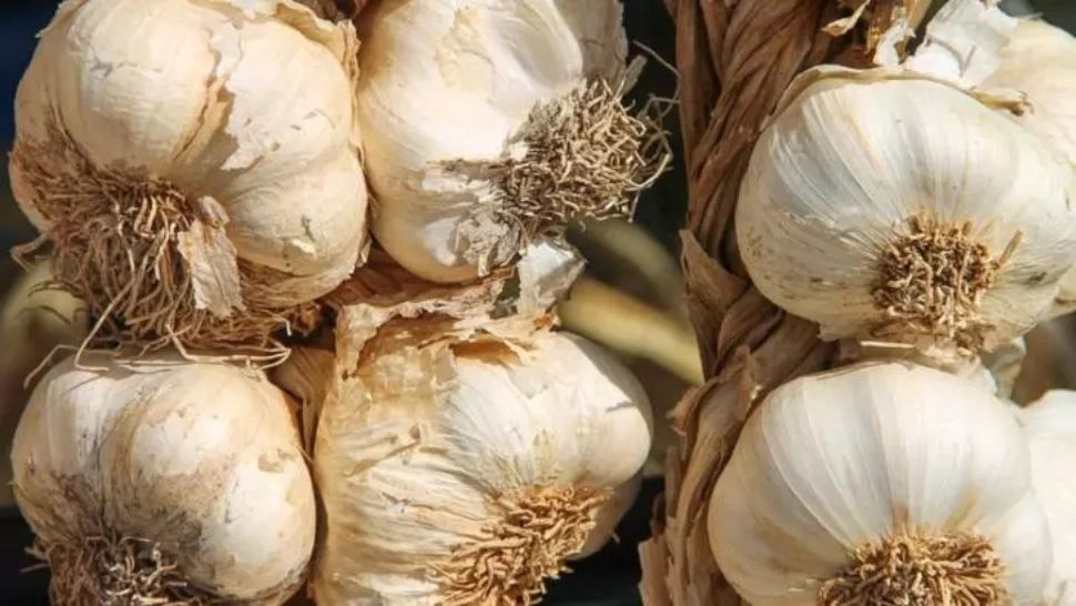 Nu mai consuma niciodată usturoi dacă ai una din aceste boli - Puțină lume știe