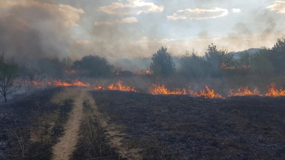 INCENDIU la Hipodromul Craiova: 10 hectare de vegetaţie uscată, mistuite de FLĂCĂRI