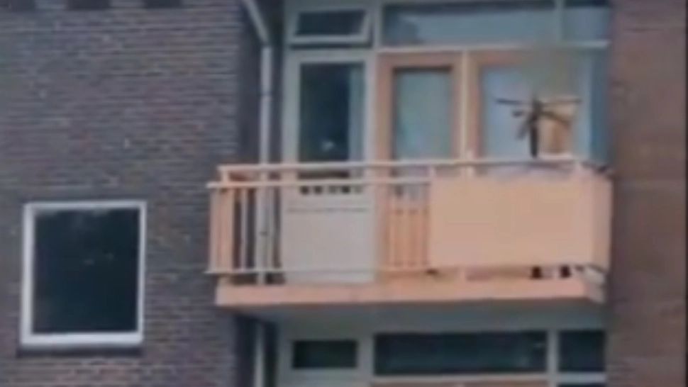 VIDEO Atac șocant: 2 morți, după ce un bărbat a tras cu arbaleta de la balcon, în Olanda