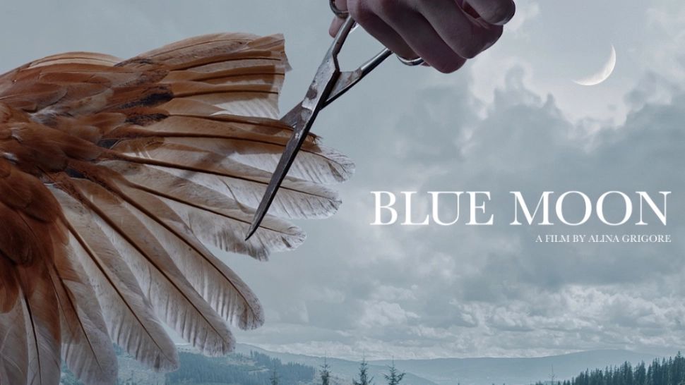 Filmul românesc CRAI NOU, cel mai mare premiu la un renumit festival european