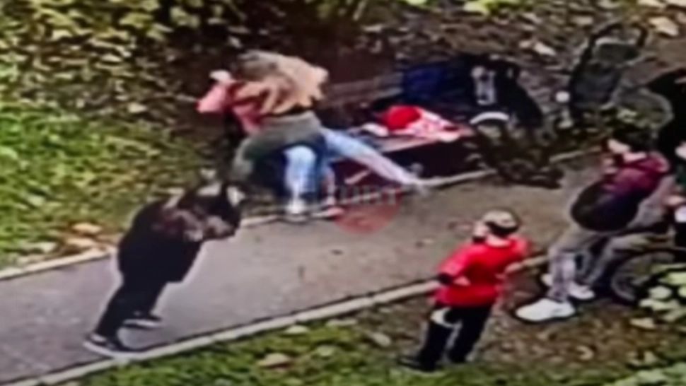 VIDEO | Bătaie într-un parc din Baia Mare. 2 adolescente și-au împărți pumni și palme sub privirile oamenilor