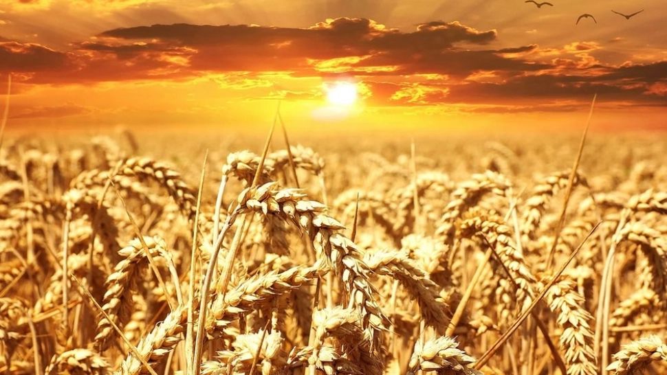 În România, decesele cauzate de caniculă au crescut cu 25%. Climatologii avertizează: vor fi multe zile cu temperaturi de peste 50 de grade