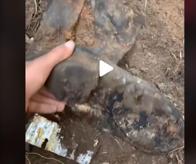 VIDEO – A săpat o groapă în curte și a găsit un obiect – Povestea extrem de tristă din spatele descoperirii